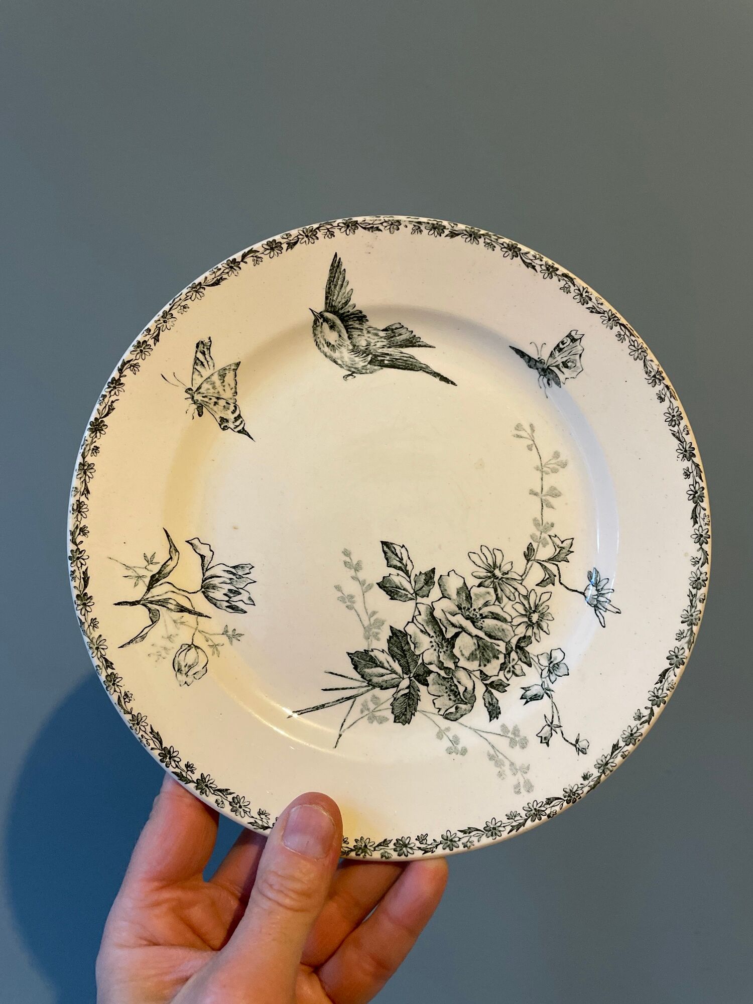 Set of 12 Terre de Fer dessert plates Grand Dépôt E.Bourgeois