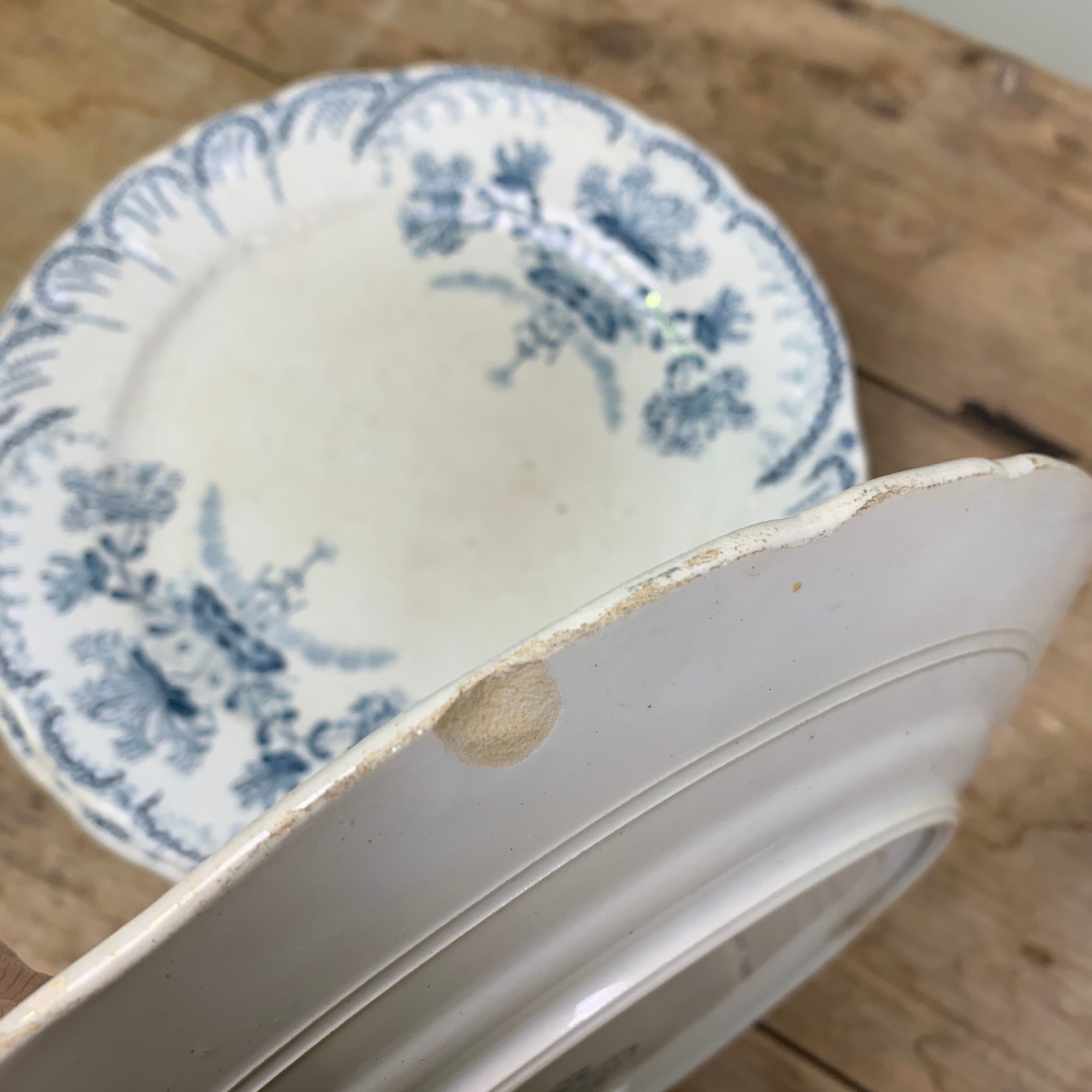 Set of 6 Saint Amand plates , Regency