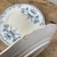 Set of 6 Saint Amand plates , Regency