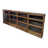 Large Globe Wernicke Bookcase