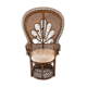 Fauteuil Emmanuelle Peacock