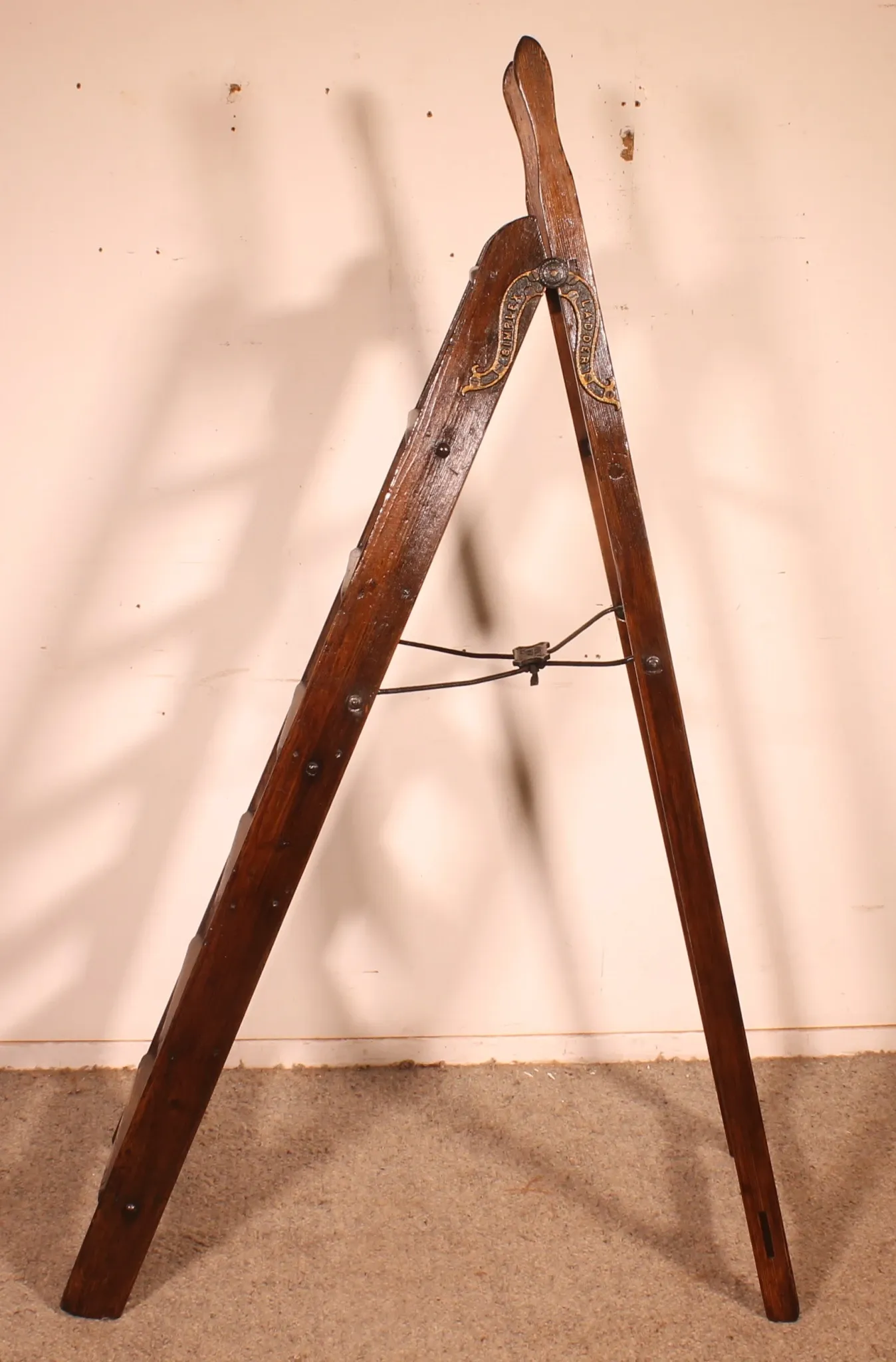 19th-century library ladder