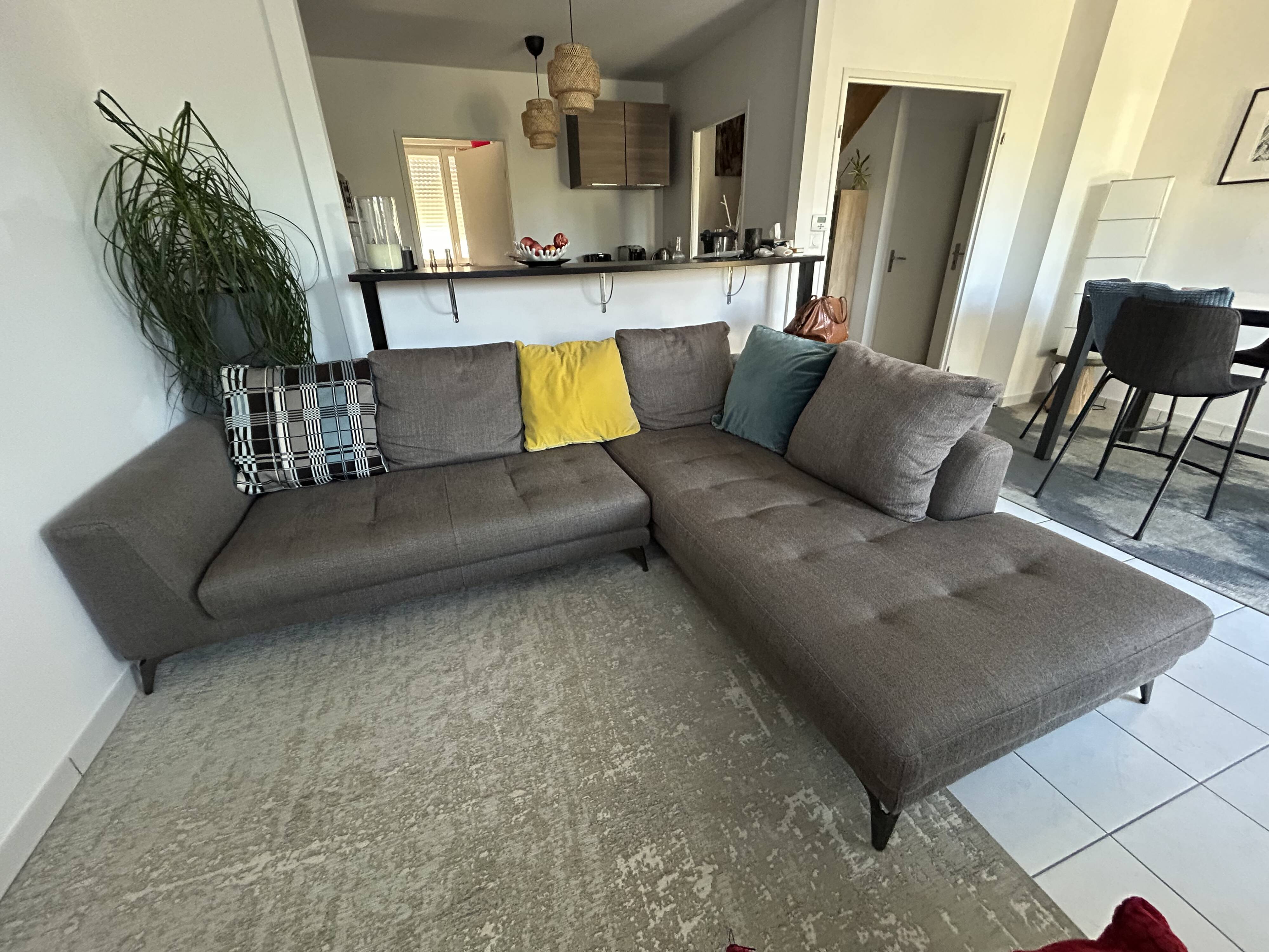Canapé Roche Bobois