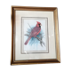 Red cardinal bird frame