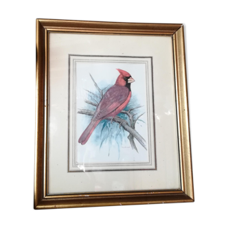 Red cardinal bird frame