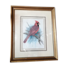 Red cardinal bird frame