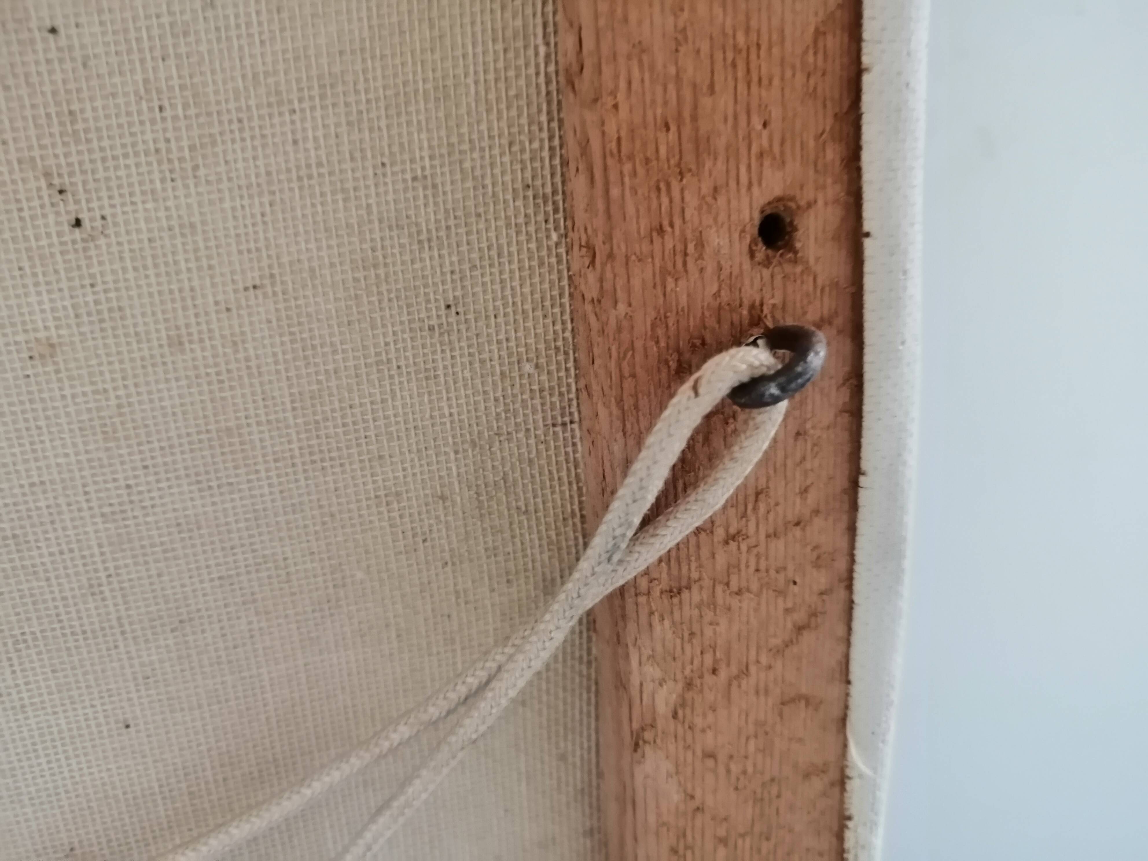 Still life with daisies and flowers in vase