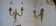 Paire d'appliques style rocaille bronze