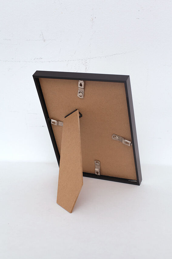 Set of 2 framed chimera lithography animal engraving