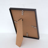 Set of 2 framed chimera lithography animal engraving