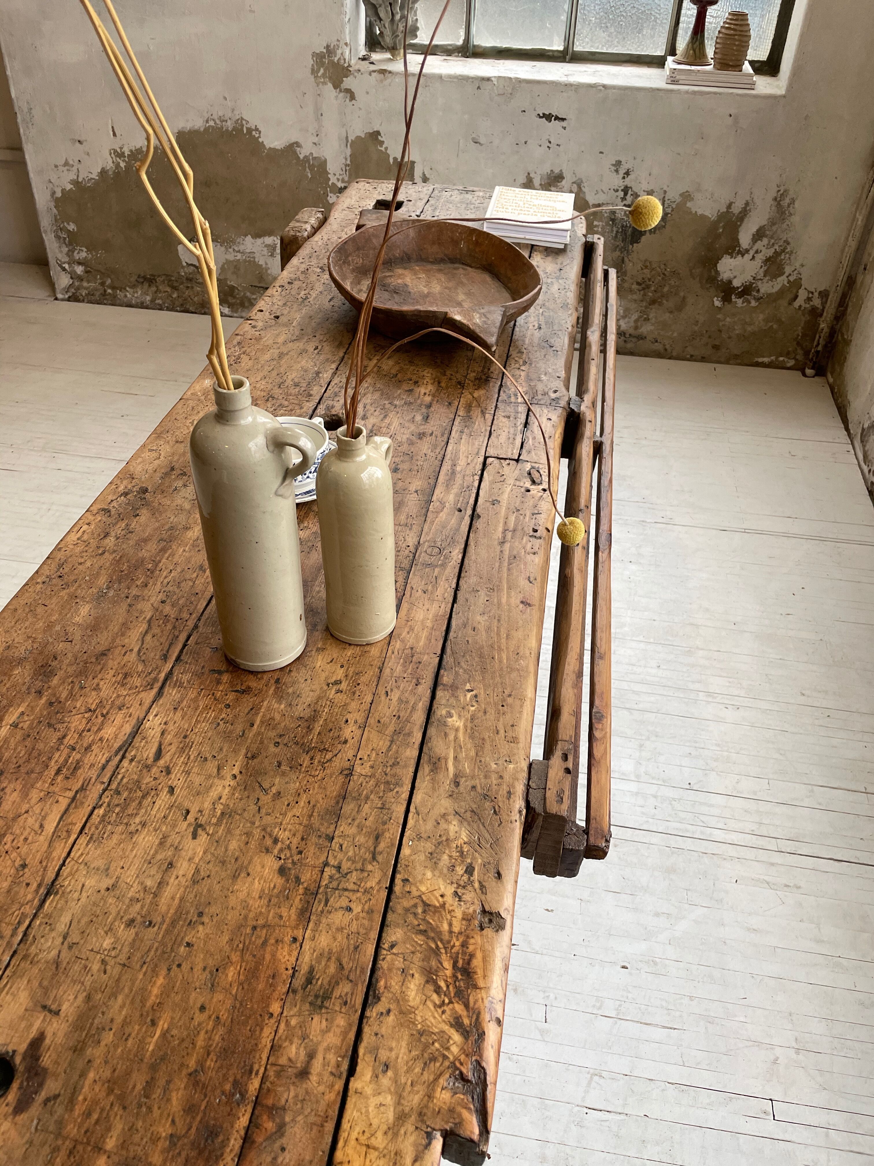 Established old oak XL