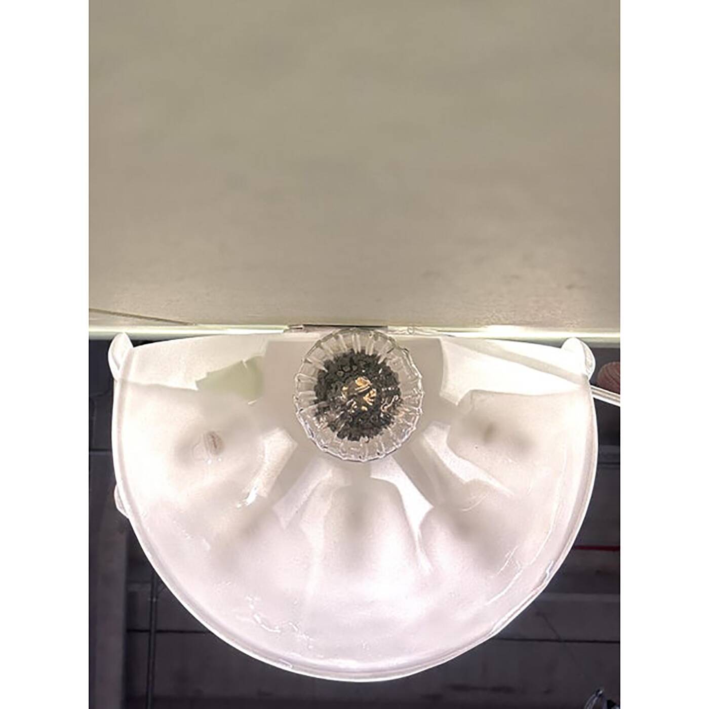 Set of Two Contemporary Venetian Sanded Glass Floreal Wall Sco