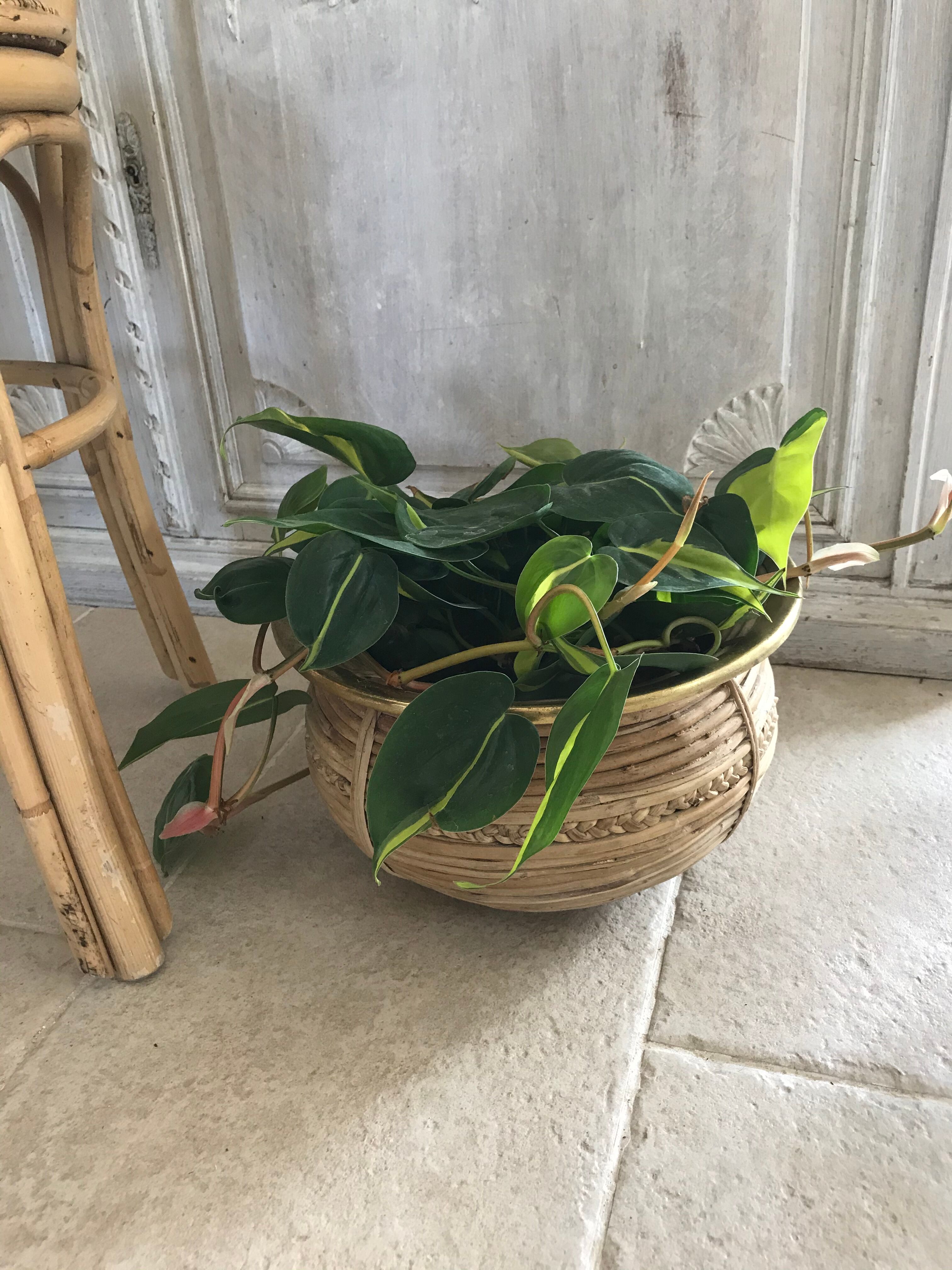 Rattan and vintage brass pot cover