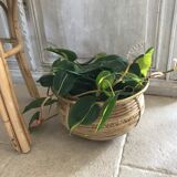 Rattan and vintage brass pot cover
