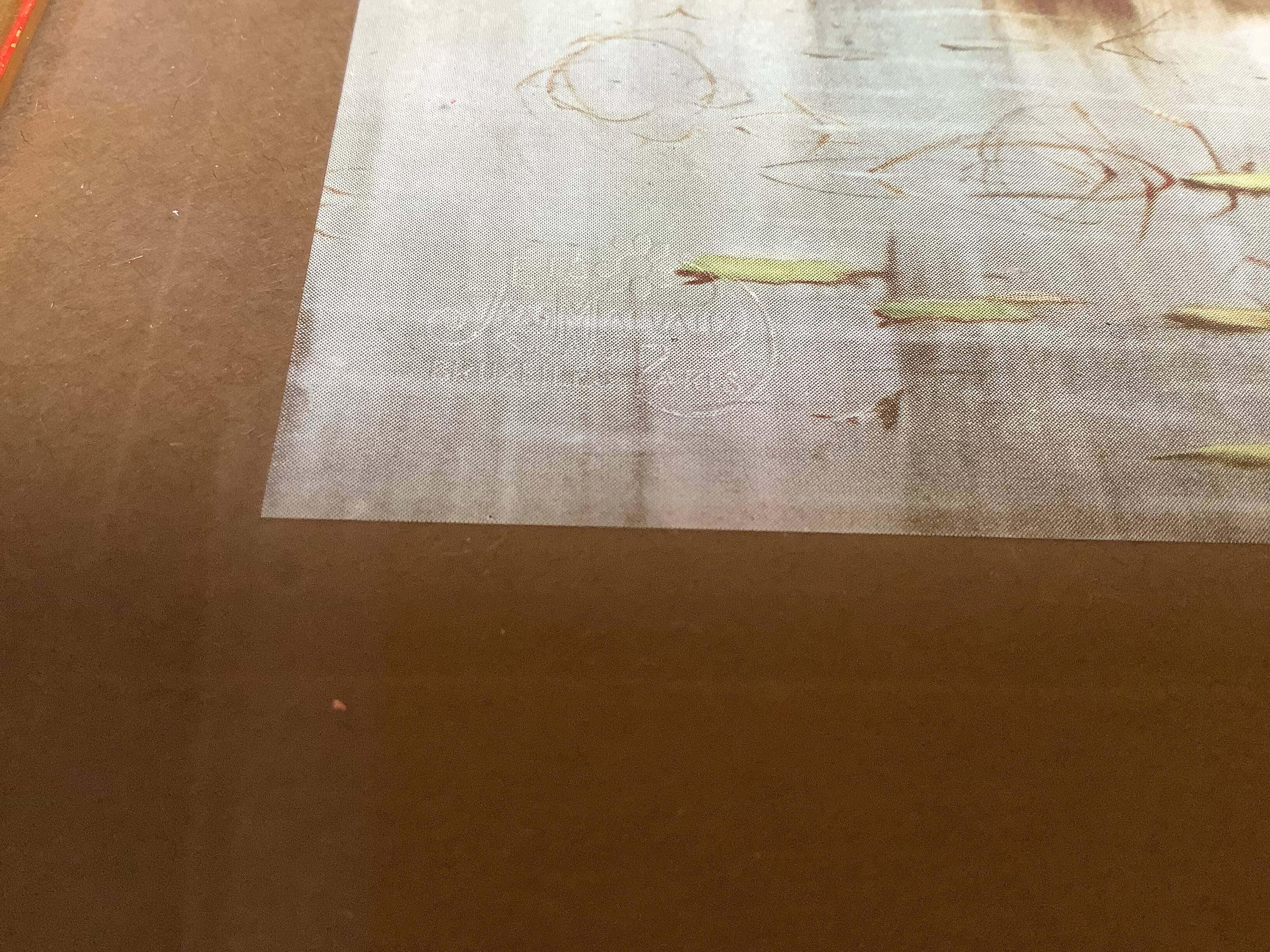 Frame with a countryside landscape