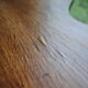 Table basse haricot vintage