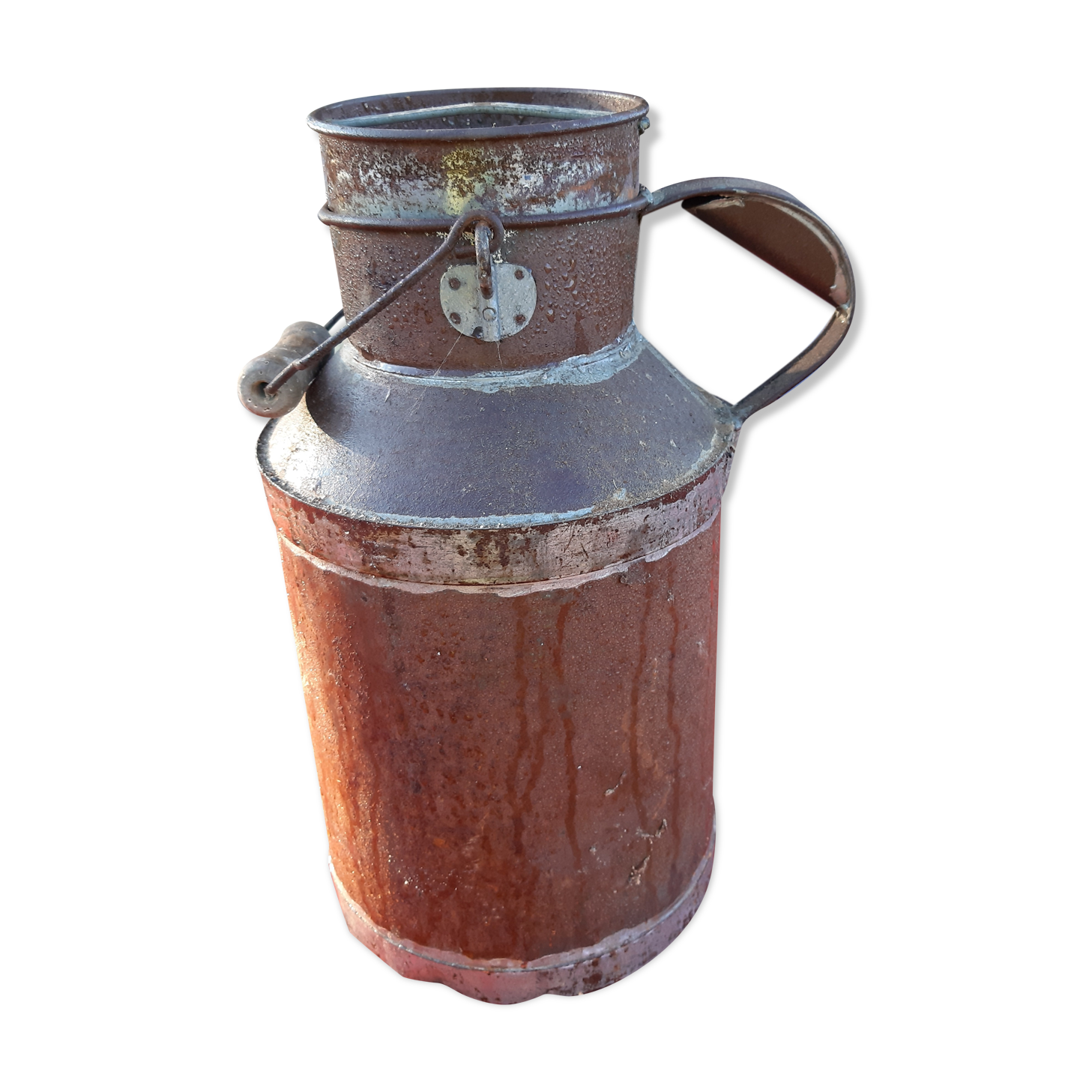 Milk can in tole