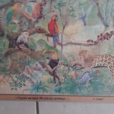 Wooden puzzle. Comet. Pattern jungle animals.