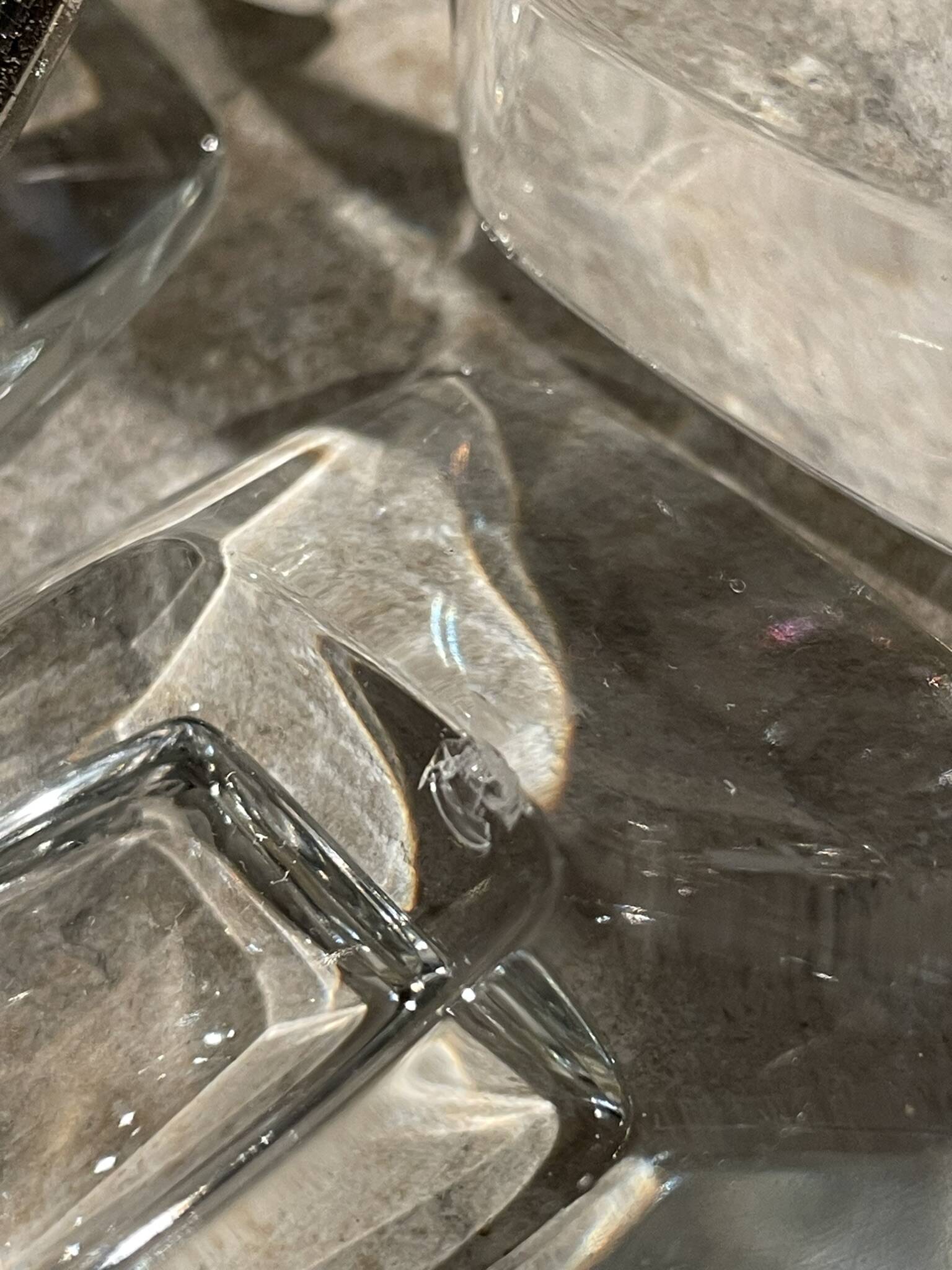 Pair of crystal wall lights in the Sciolari style.