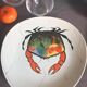 Set de 12 assiettes plates et grand plateau Poisson fruits de mer faïence Pornic France 60s