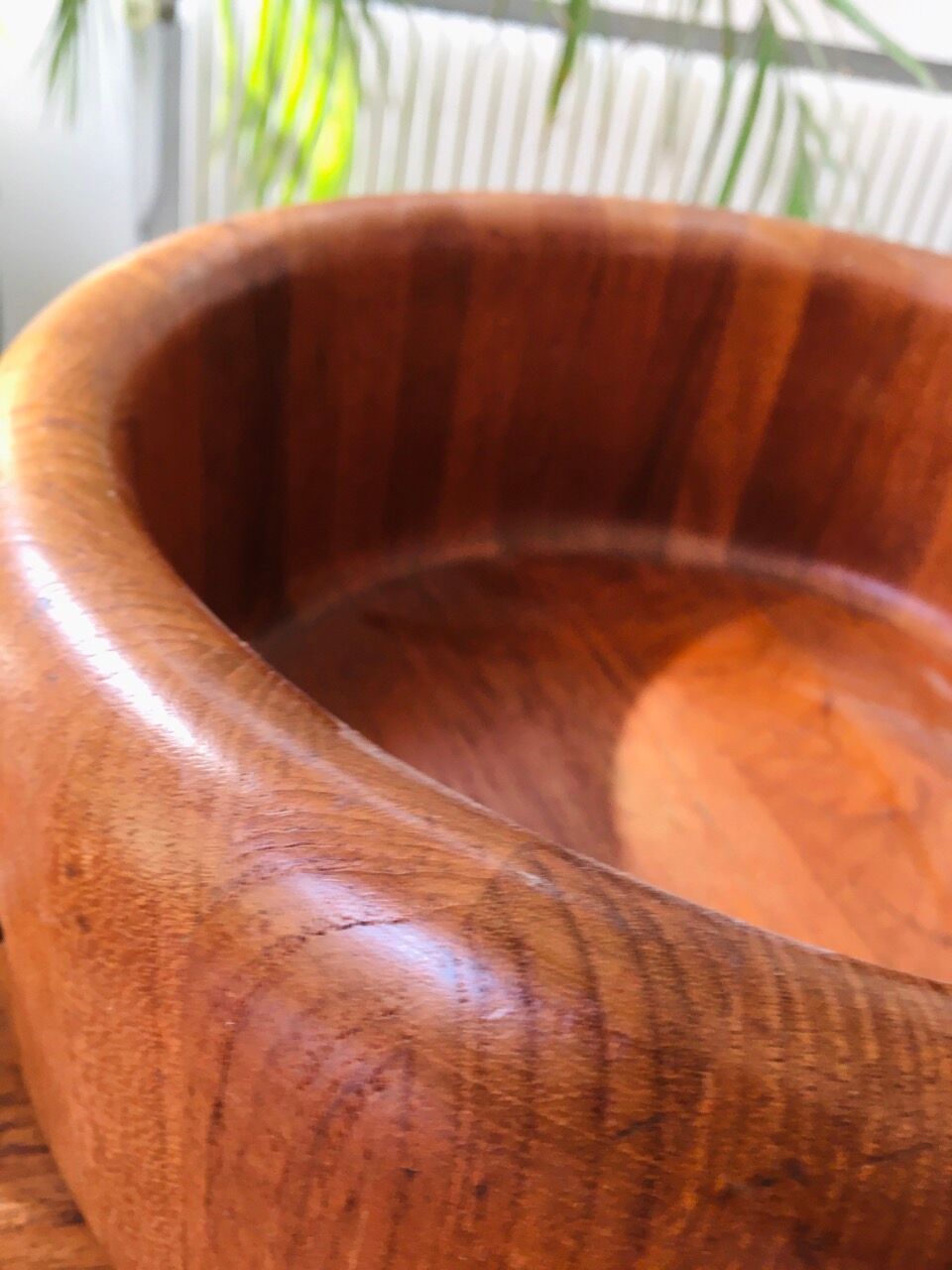 Dish XXL Digsmed Denmark