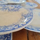 Set of seven hollow plates in iron earth