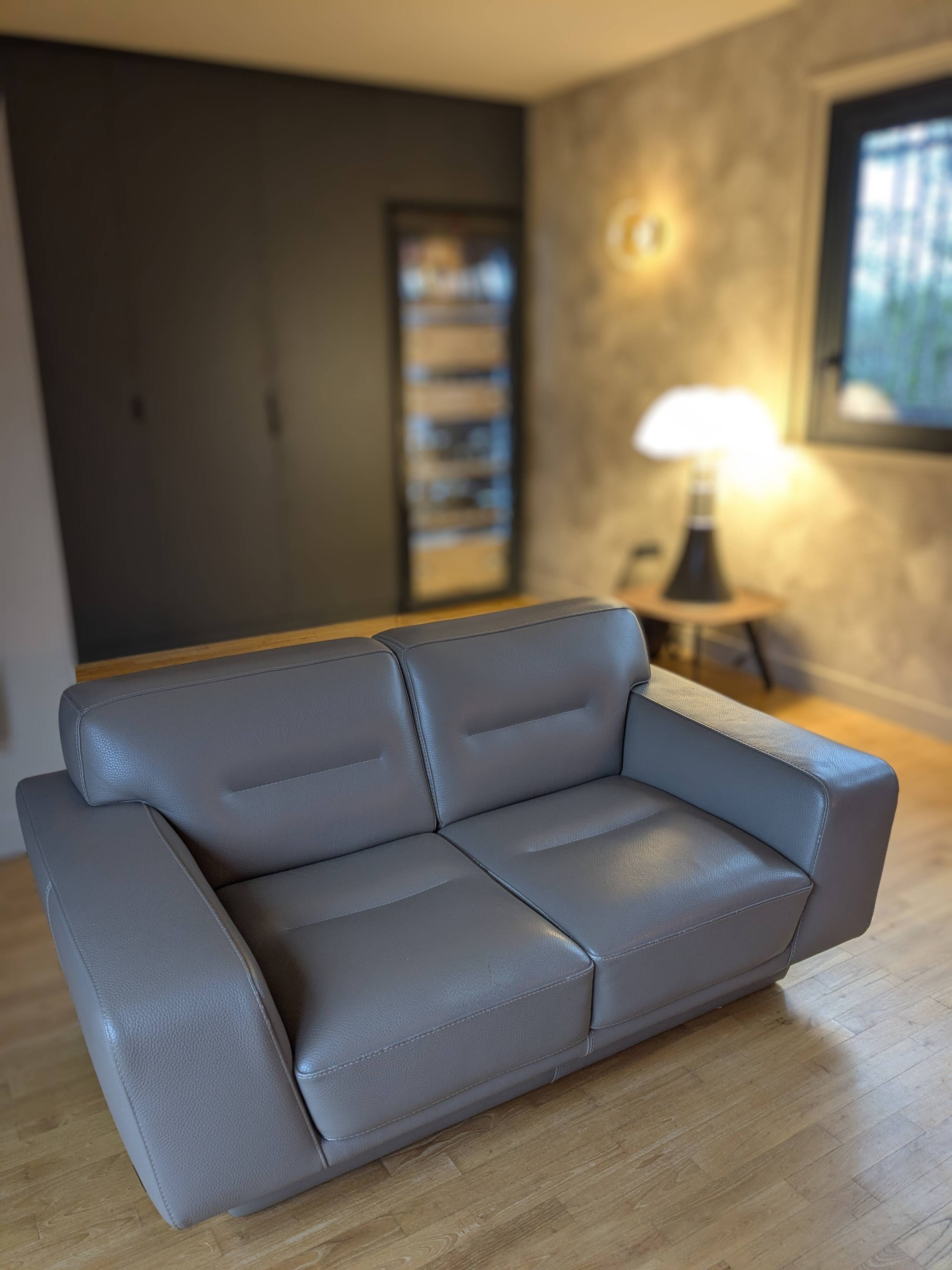 Grey leather sofa Rochebobois
