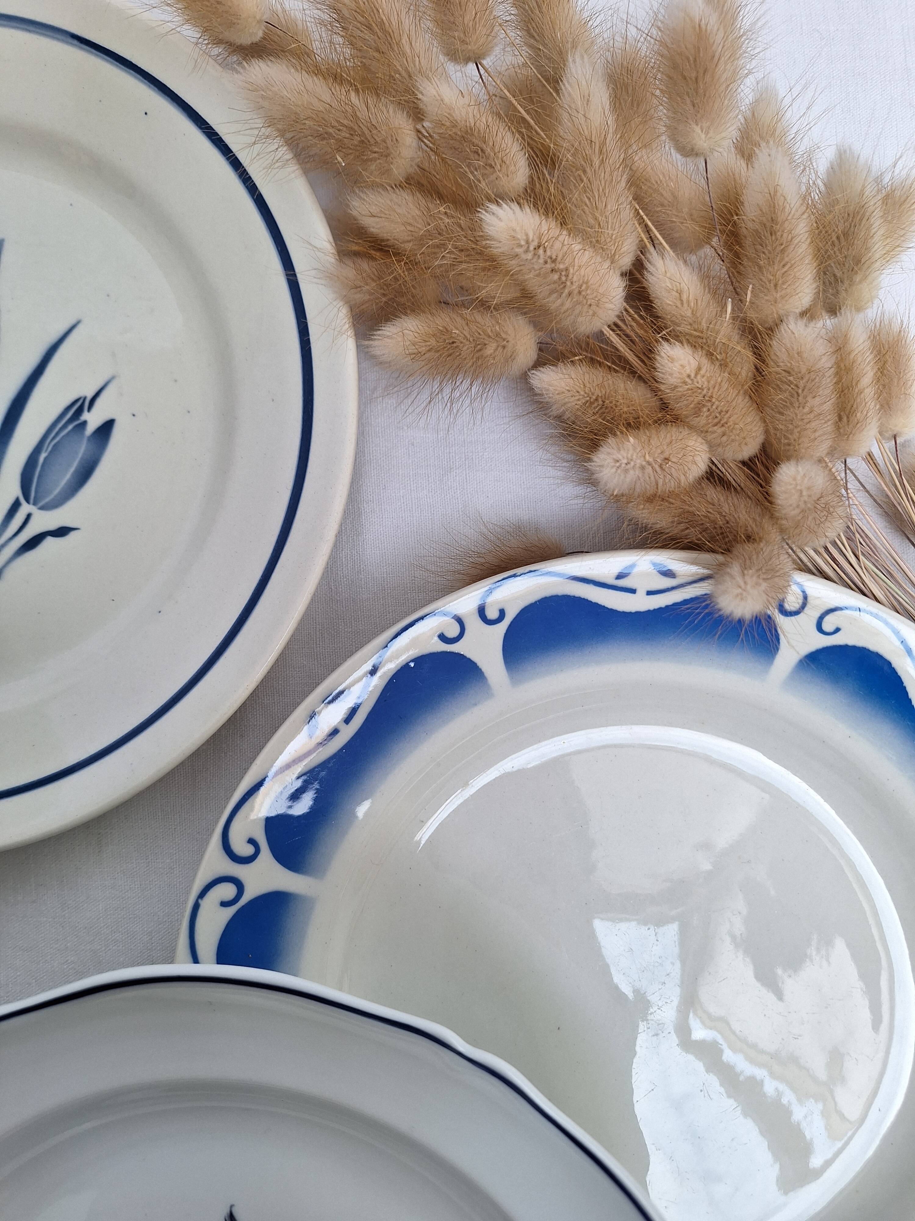 Vintage blue dinner plates