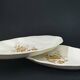 Set of 2 earthenware dishes Salins model Digne