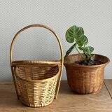 Basket