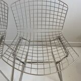 4 chairs by Bertoia Harry for Knoll, 1980