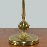 Dolphin hot water bottle lamp