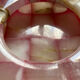 Ashtray with pink and white onyx checkerboard