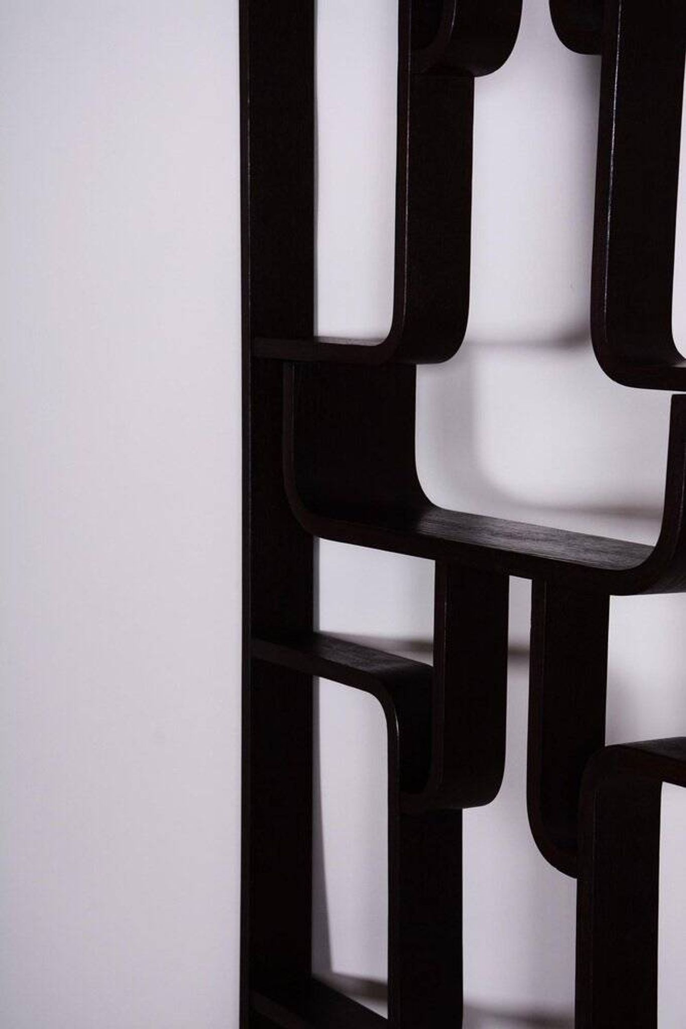 Room Divider by Ludvik Volak for Drevopodnik Holesov, 1960s