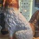 Set of 2 Dog Statues – Staffordshire – Ornament – Vintage Pair