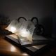 Pair of brass swan neck wall sconces, glass tulips with screen printing.