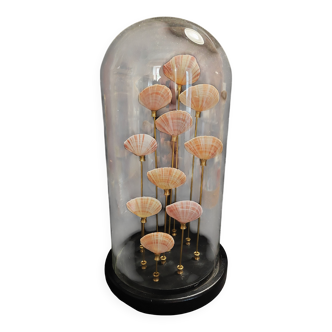 Cabinet of Curiosities globe with Tellina radiata shells