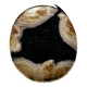 Empty pocket or dish in medium petrified wood