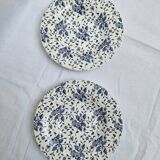Vintage Grindley plates