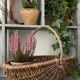 Panier de cueillette