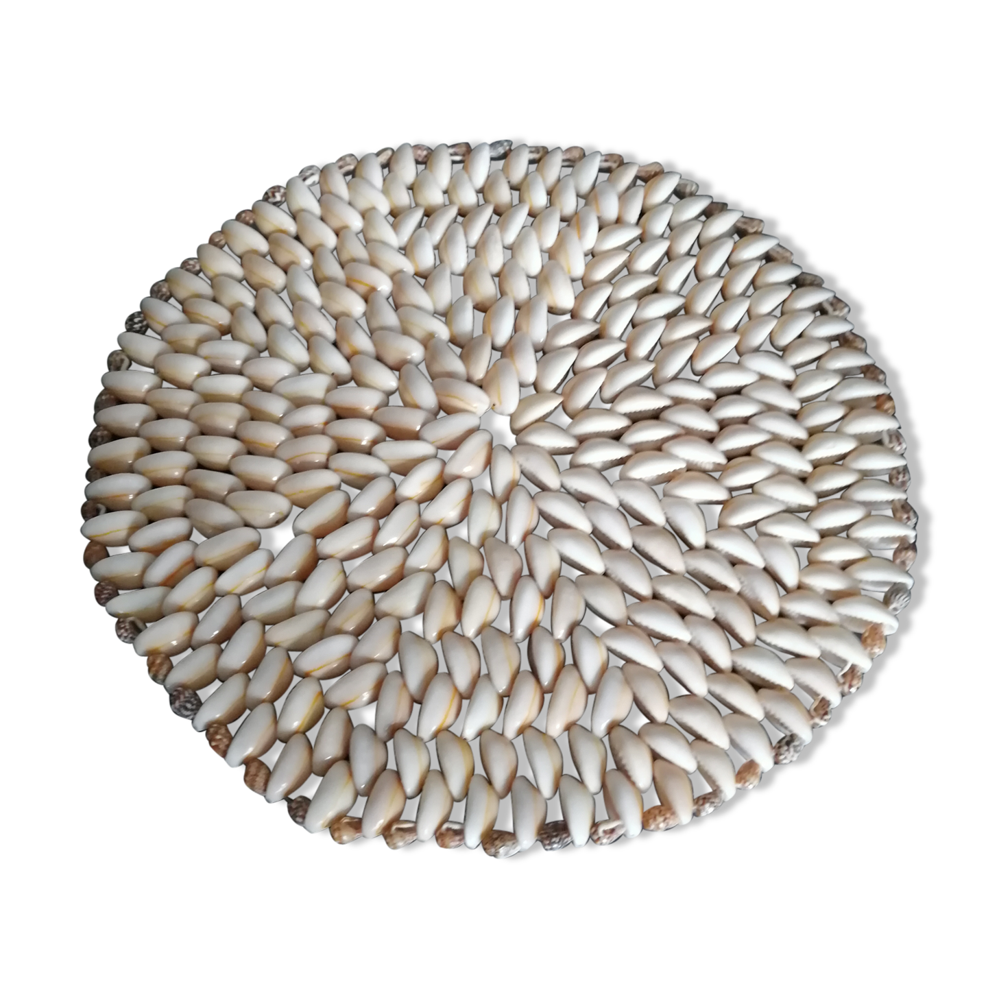 Shell flat underside