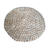 Shell flat underside