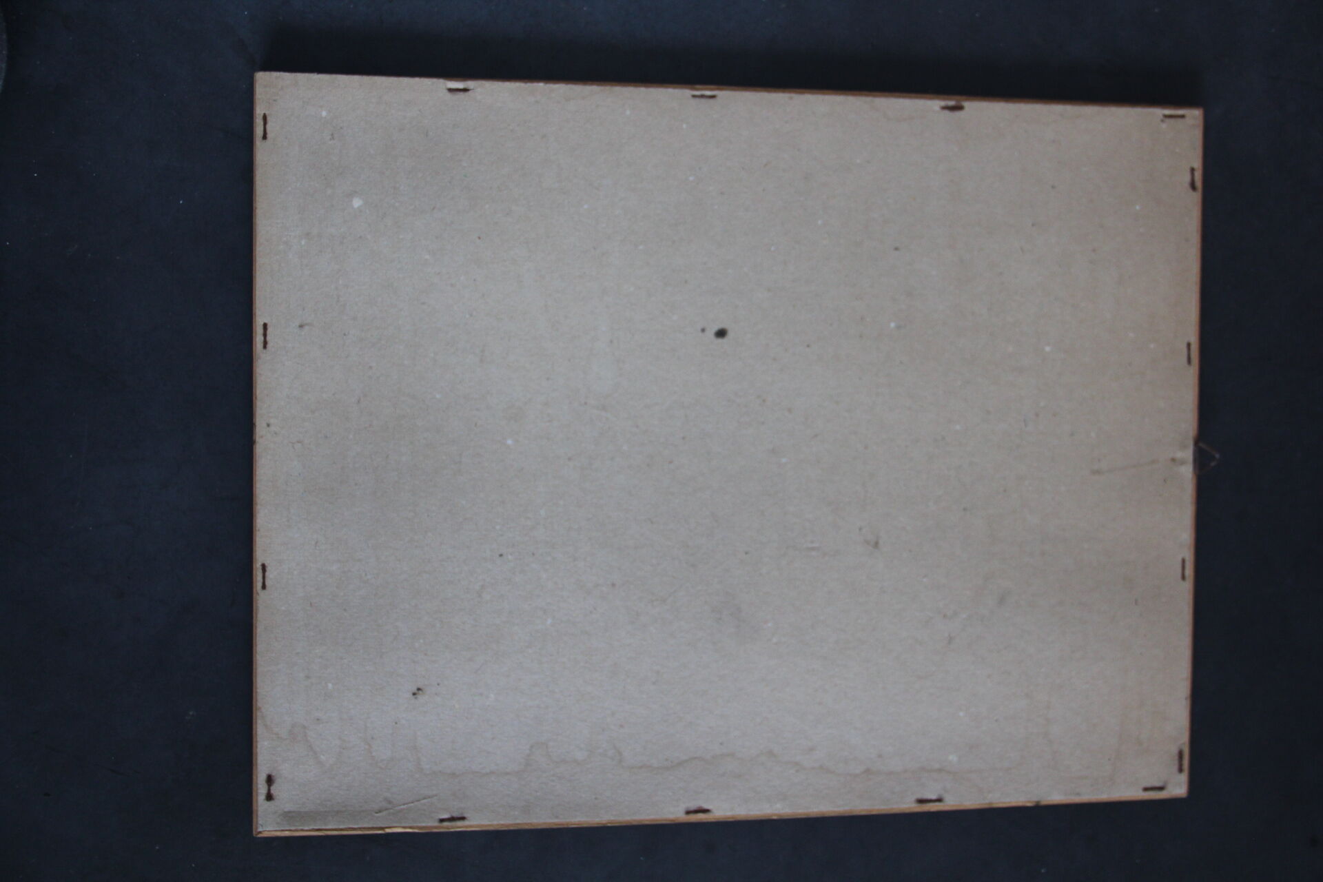 Framed engraving by P.J.Redouté Rosier Eglantier