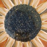 Sunflower bowls from Gien