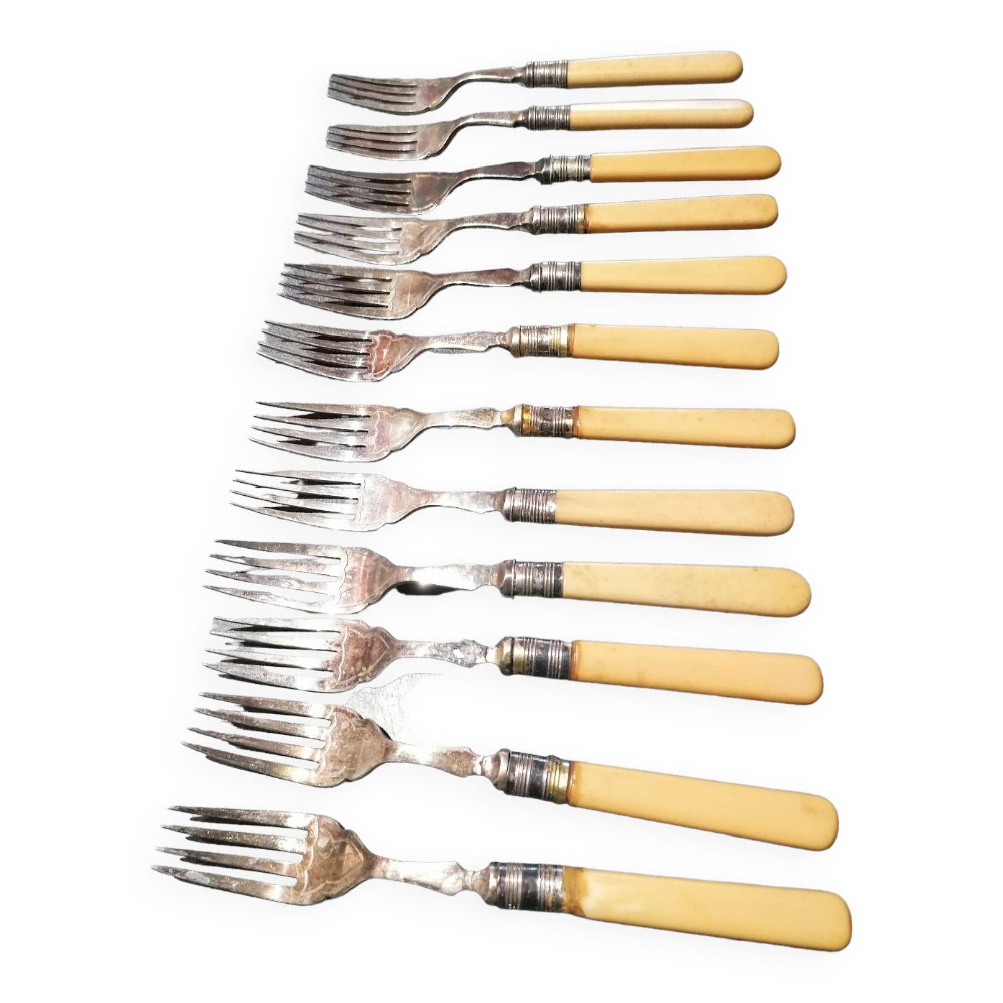 Coffret de 12 fourchettes à poisson