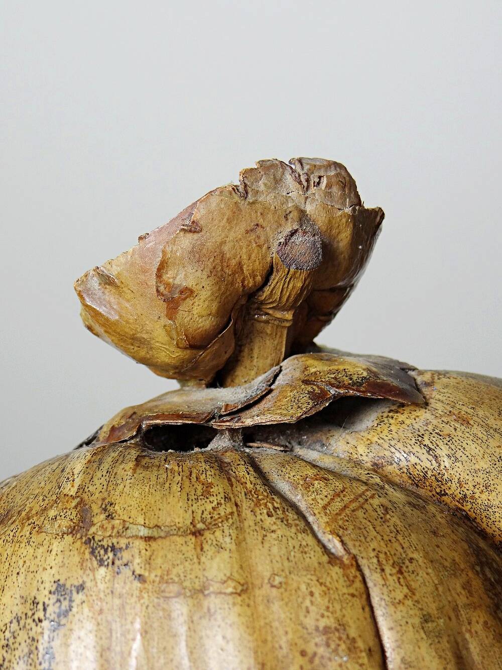 Large box/ice bucket curiosity Naturalised African Coconut vintage