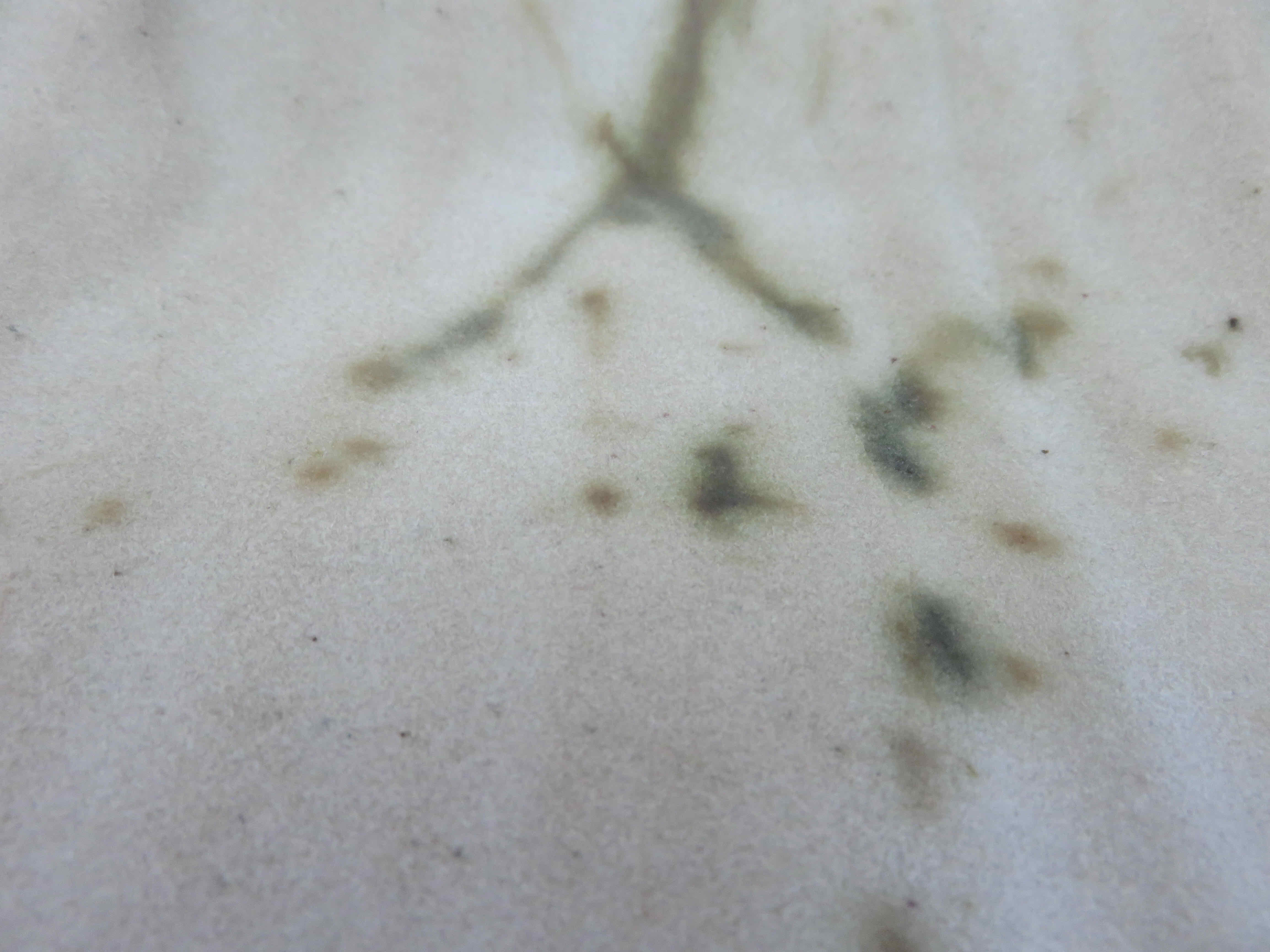 Empty pocket sandstone of the dovecote Vallauris modernist, sandstone tachiste 1950 -60