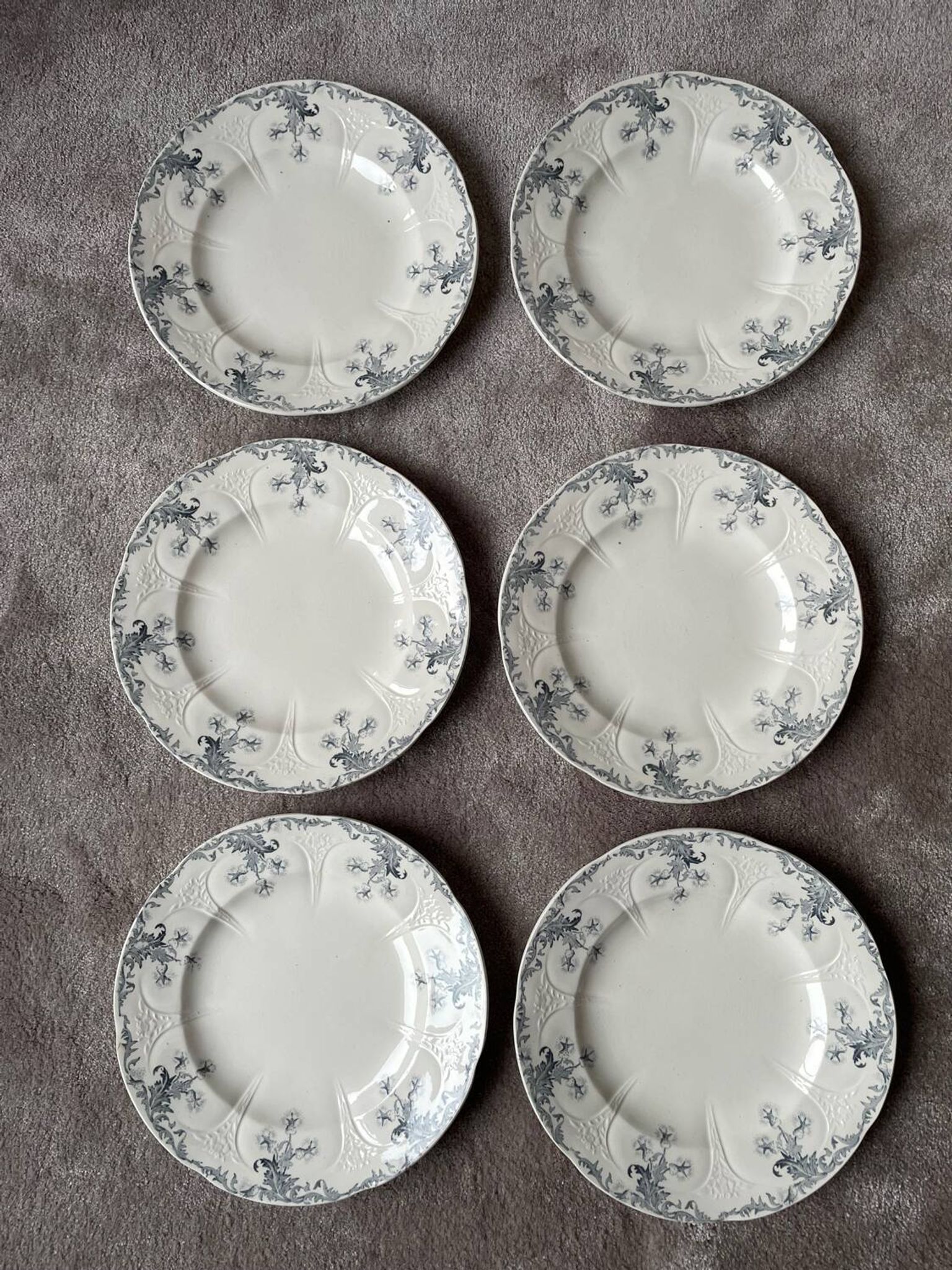 6 Flat Plates Terre de Fer Longwy Model Lorrain