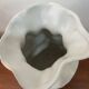 Paire de vases blancs