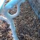 Old garden bench with cast iron feet and wooden planks